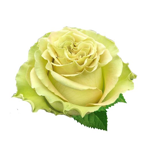 Васаби